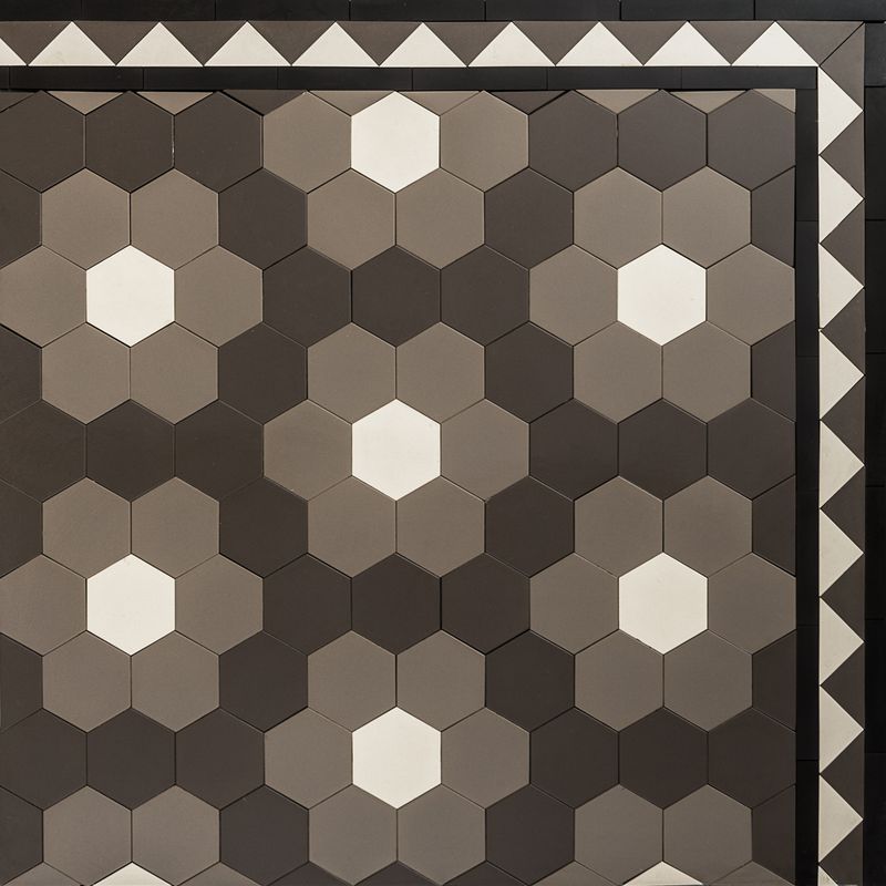Hexagon - Florette Hexagon 100 Continuous Design & Balmain Border